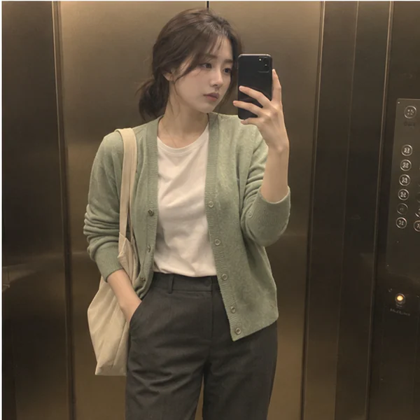 대전 은행선화 마리 살롱 안내 이미지